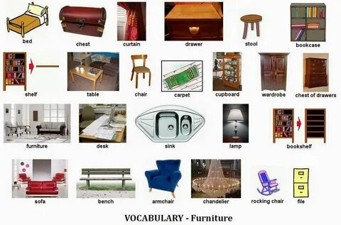 Pieces of vocabulary