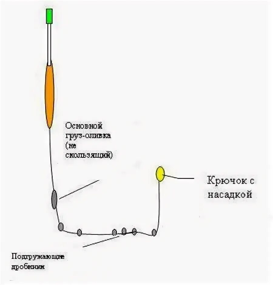 На что ловить амура на пруду Ловля белого амура на корку хлеба в пруду, фидер Сообщество "Охота и Рыбалка"