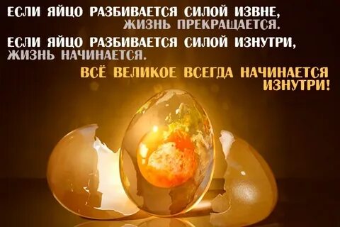 Яйцо начало жизни