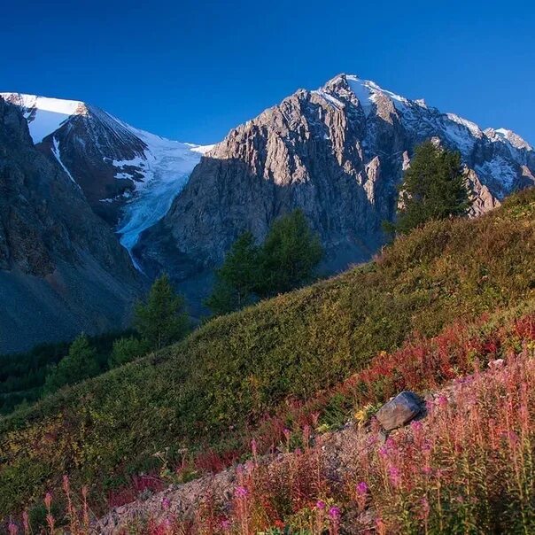 Песня горы алтая. Красота гор. горы алтая. красота гор алтая.