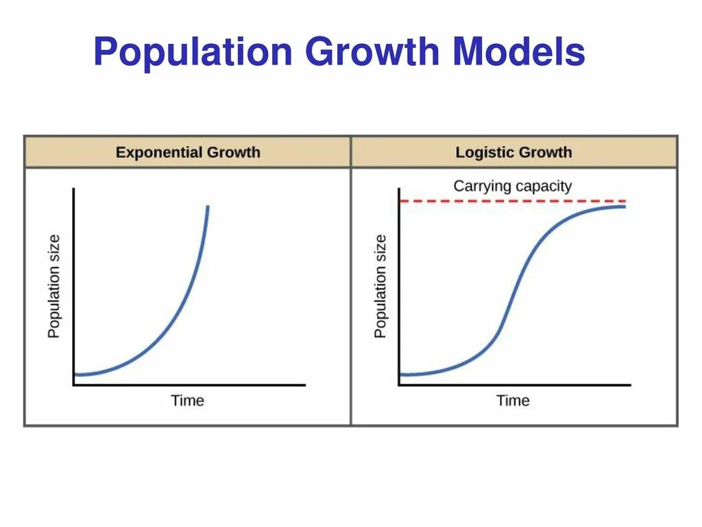 P e growth. P e growth. Модель growth. P e growth. Коэффициент p/e для акций.