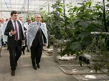 Управляющая компания завод
