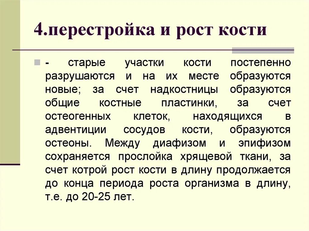 Зона перестройки. Перестройка кости. Возрастная перестройка кости. Перестройка костной ткани. Процесс перестройки костной ткани.