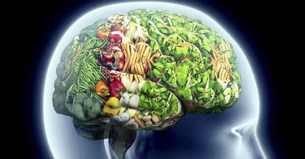 Факторы влияющие на мозг. Мозг и власть. Мозг питается. Еда для мозга.
