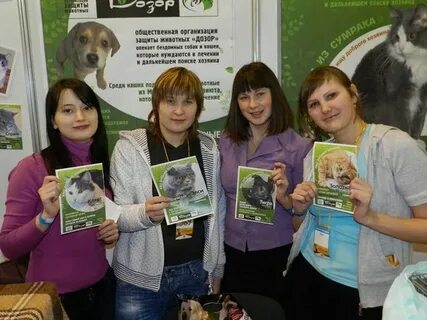 Общественная организация животные