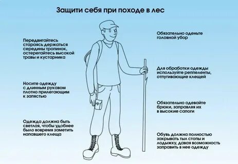 Какая защита от клещей