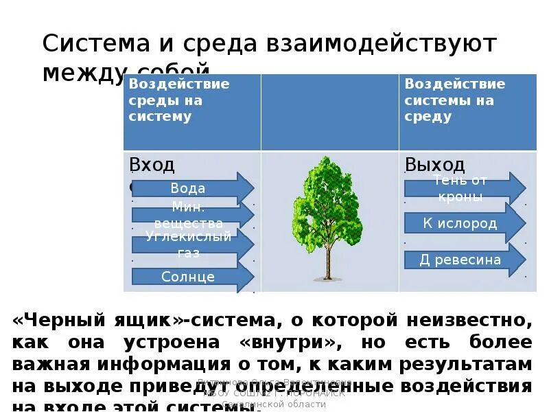 Изменять размеры объекта под воздействием среды. Воздействие среды на систему. входы и выходы системы. воздействие среды на систему примеры. входы и выходы системы примеры.