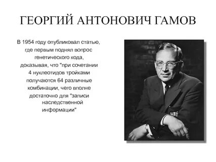 Гамов это