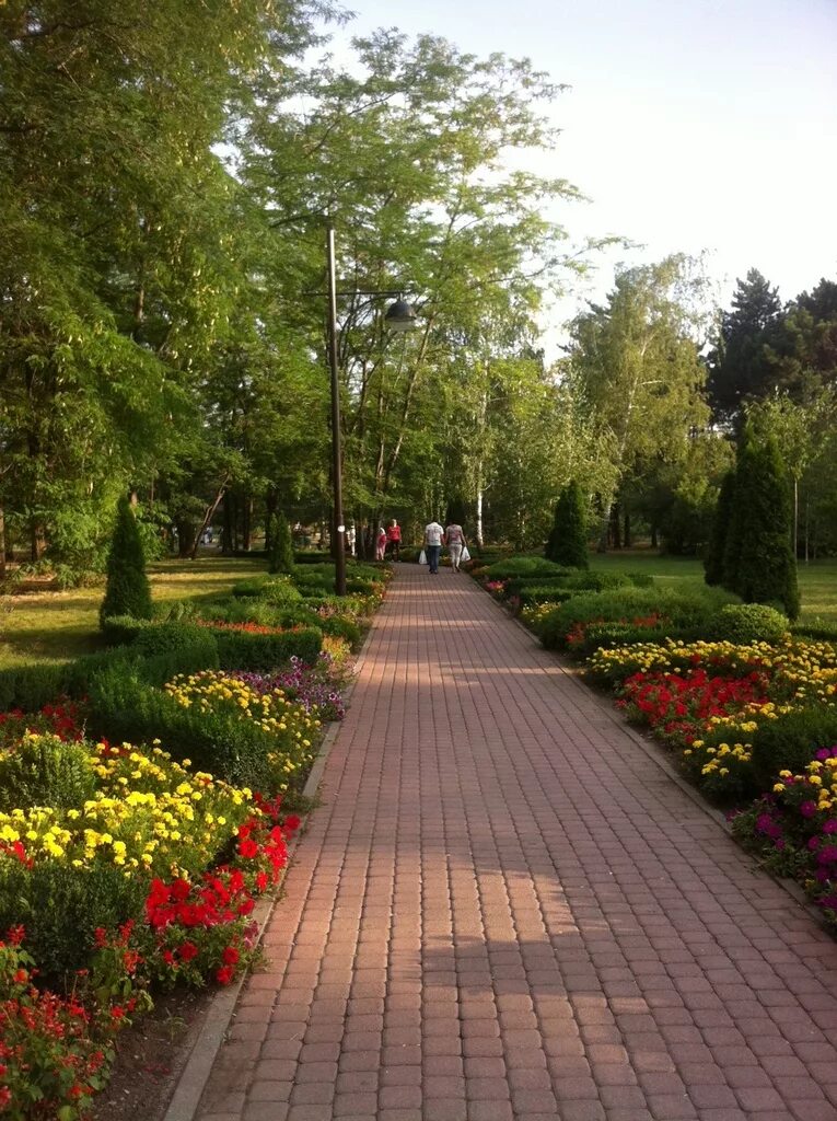 ресторан голден гарден краснодар. г. 243 детский сад краснодара. екатерининский сад краснодар ландшафтный дизайн. сад 173 воронеж.