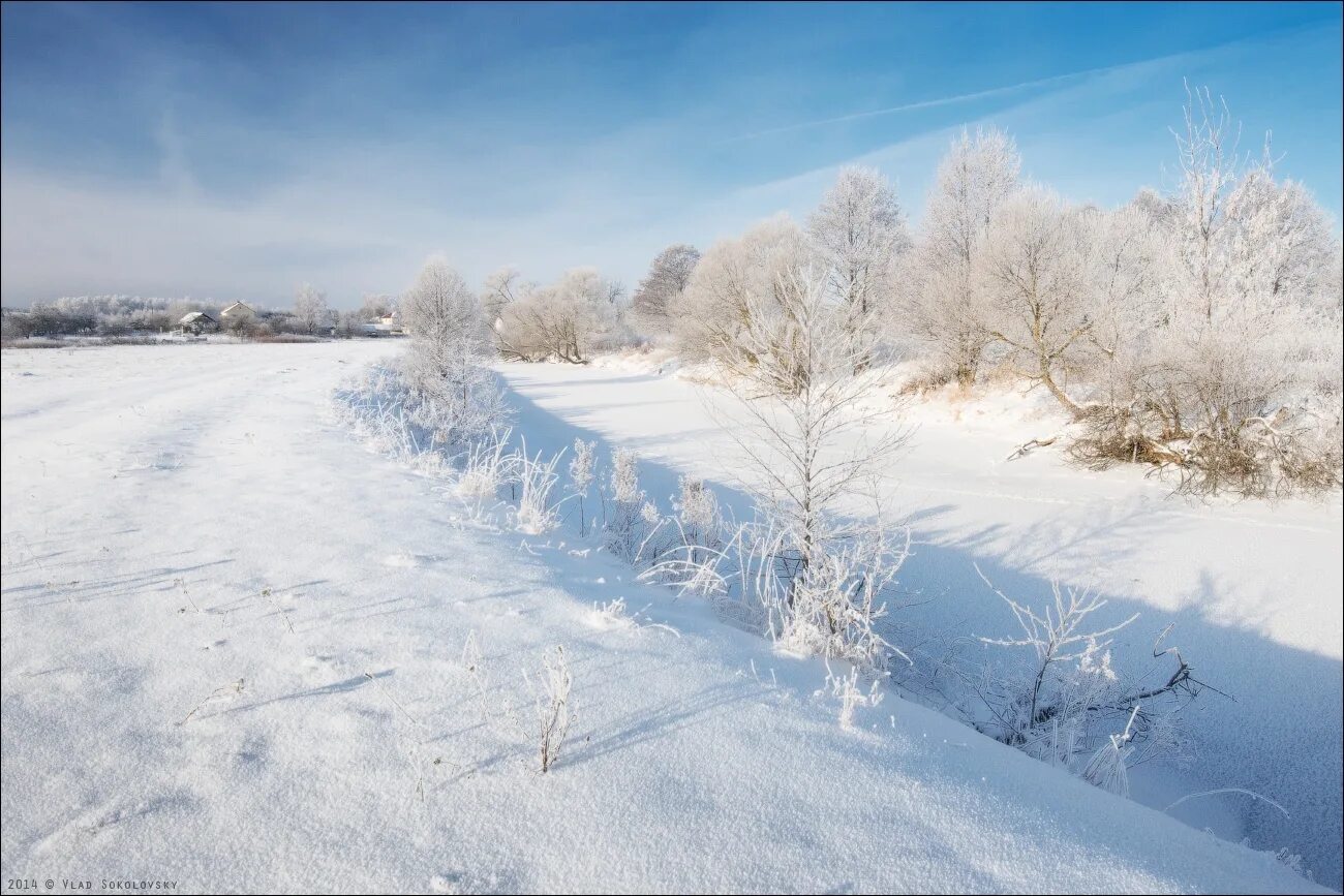 Зимно