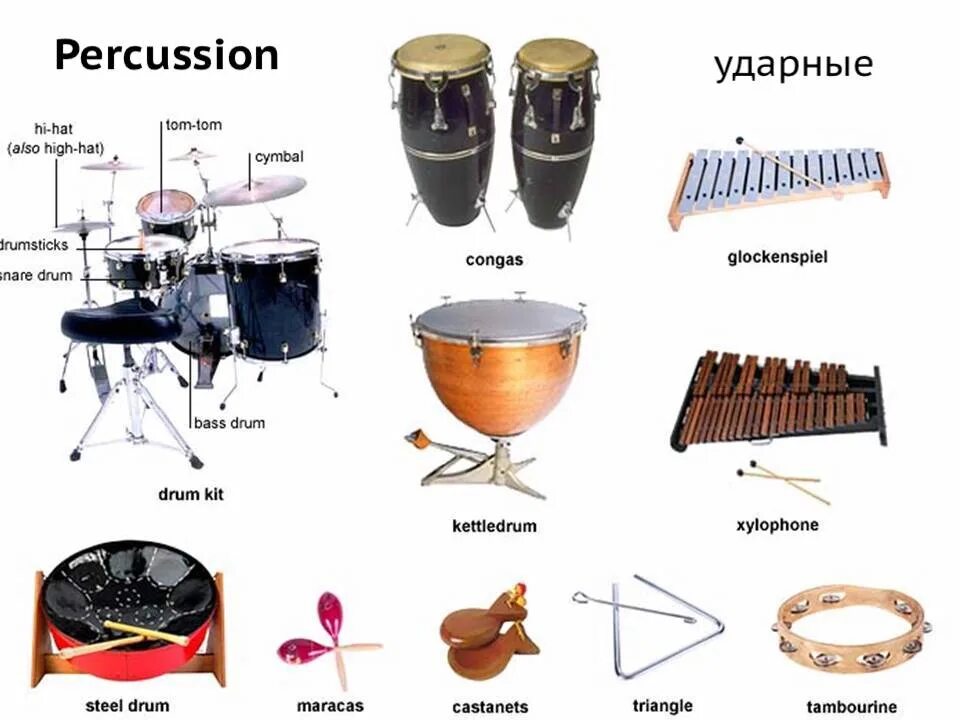 Ударные музыкальные инструменты. Ударные инструменты с названиями. Ударные музыкальные инструменты для детей с названиями. Ударные музыкальные инструменты названия.