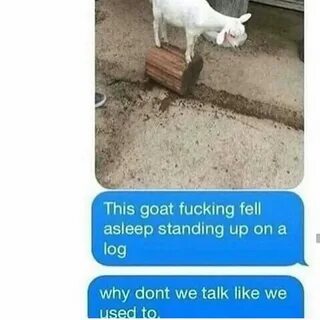 Charlie fucked a goat meme
