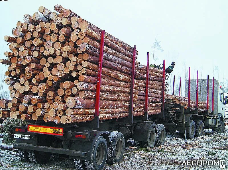 Урал лесовоз погрузка леса. Сколько леса лесовозе. Лесовоз объем древесины куб. Погрузка лесоматериалов. Грузят лес.