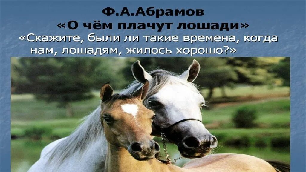 Анализ произведения о чем плачут лошади. Абрамов лошади. Обложка книги о чем плачут лошади. Почему плачут лошади.