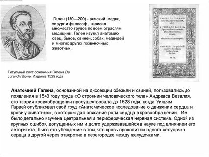 Гален вклад в медицину