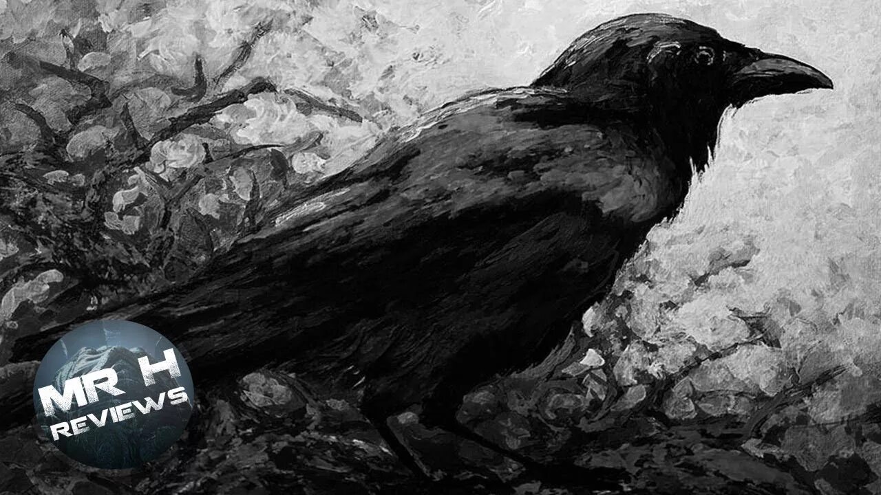 Raven poe. Edgar Allan Ravens. The Raven POE. Raven Allan POE.