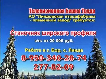 Центр занятости арзамас