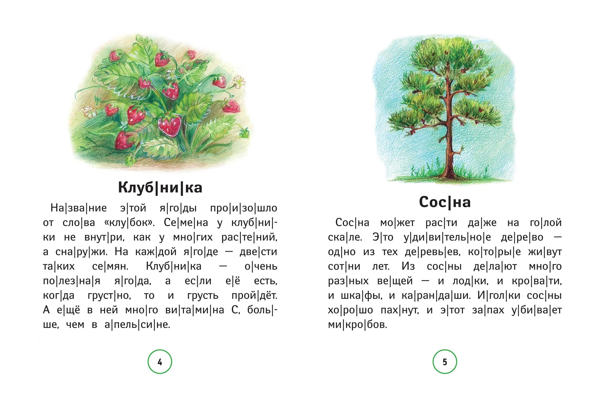 Познавательные тексты для детей. Познавательные тексты для чтения Сычева. Познавательный текст. Познавательные тексты для чтения 1 класс. Познавательные тексты для начальной школы.