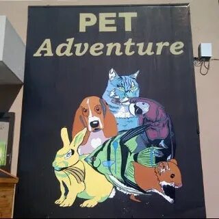 Pet adventure