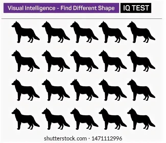 Visual intelligence. Visual intelligence