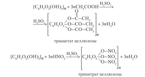 Целлюлоза вступает в гидролиз. Химические свойства целлюлозы этерификации. Триацетат целлюлозы гидролиз. Реакция этерификации целлюлозы. Химические свойства целлюлозы уравнения.