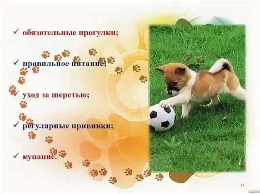 Объясните значение пословицы собака друг человека