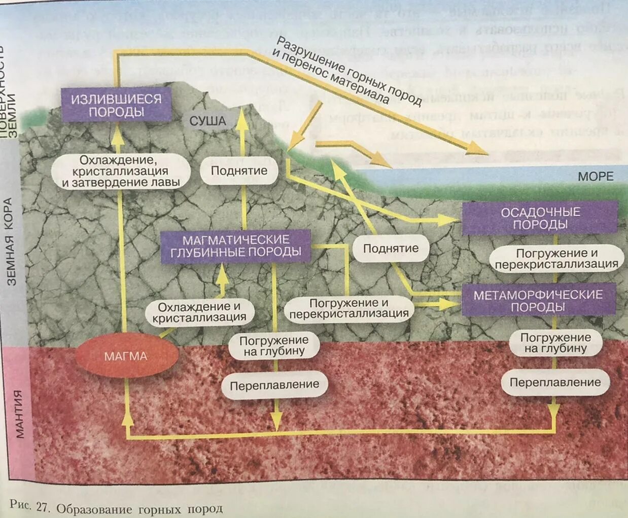 Образование горных пород 7 класс география. Схема образования осадочных горных пород. Схема образования горных пород география 7 класс. Процесс образования магматических горных пород.