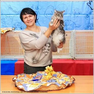 Кошка 25