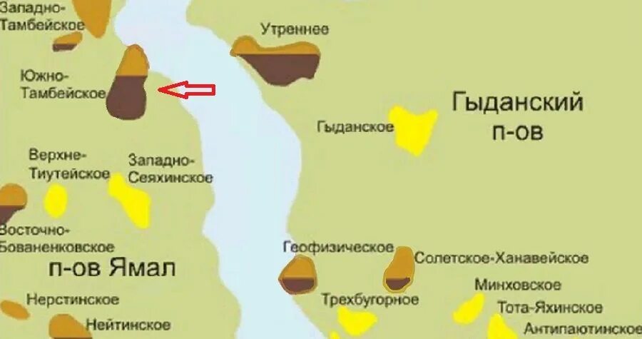 Приобское месторождение на карте. Самбургское месторождение на карте. Орехово ермаковское месторождение нижневартовск. Карта когалымского месторождения нефти. Ямал салмановское месторождение.