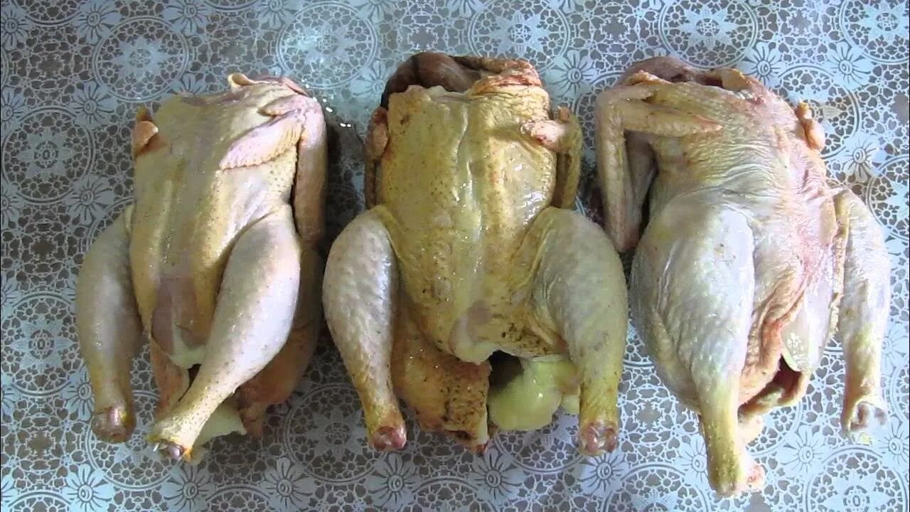 Тушки бройлера домашнего. Птицы для хозяйства. Тушки домашнего бройлера кобб 500. 500 тушек. 500 тушек.