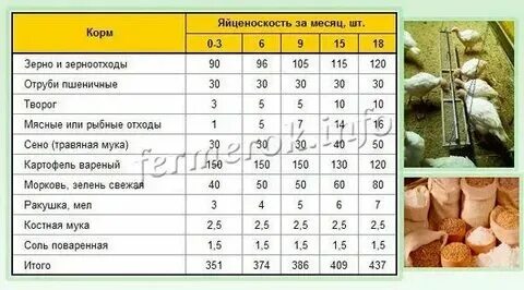 Вес индюков по месяцам таблица Индюки биг 6 таблица веса