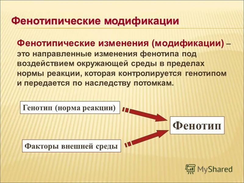 1 изменение в пределах нормы реакции