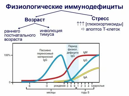 Физиологические иммунодефициты
