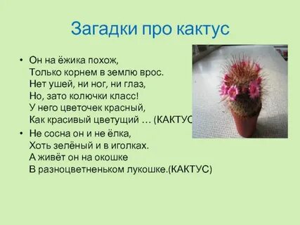 Среда обитания кактуса и ежа лабораторная работа
