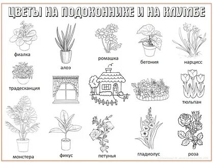 Задания комнатные растения