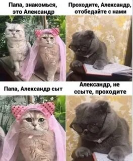 Папа знакомься