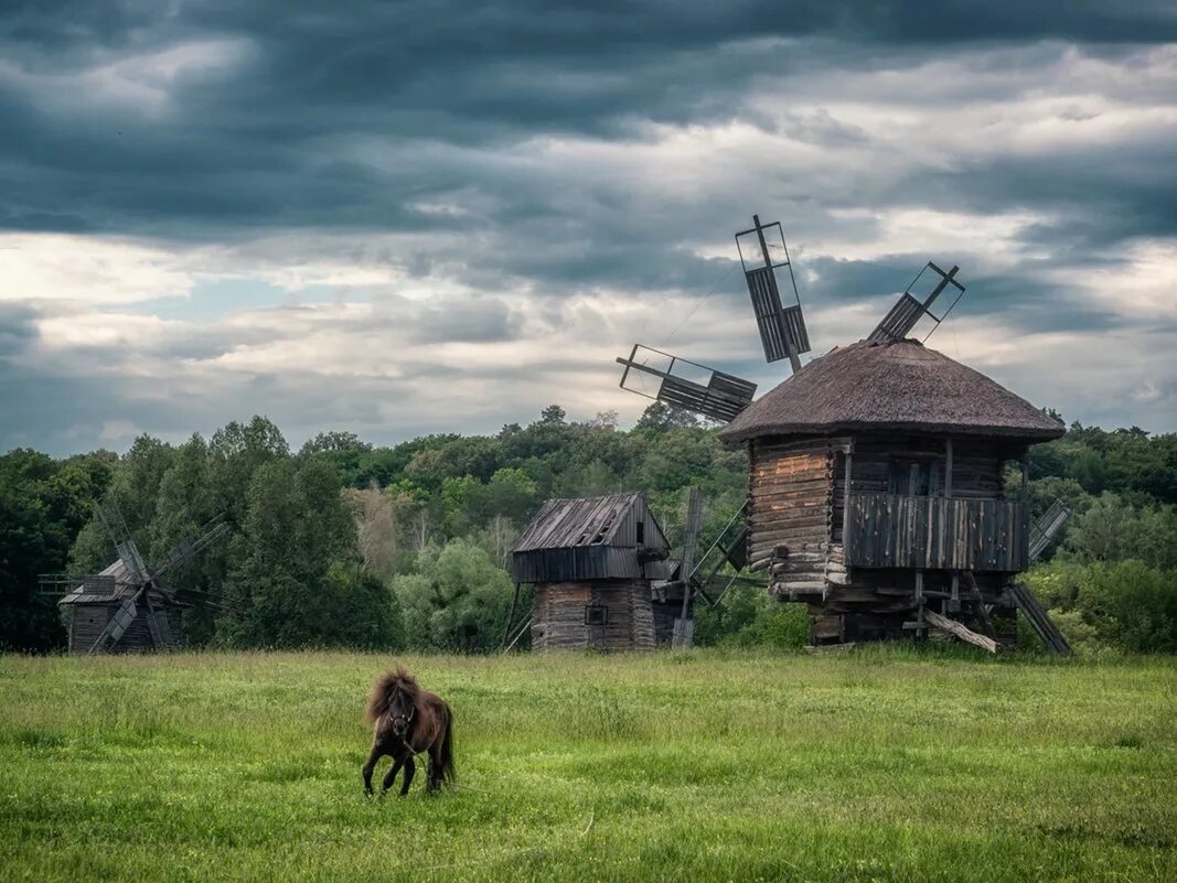 деревня киев. музей народной архитектуры и быта украины пирогово. парк пирогово киев. деревня киев. пирогово киев музей под открытым небом.