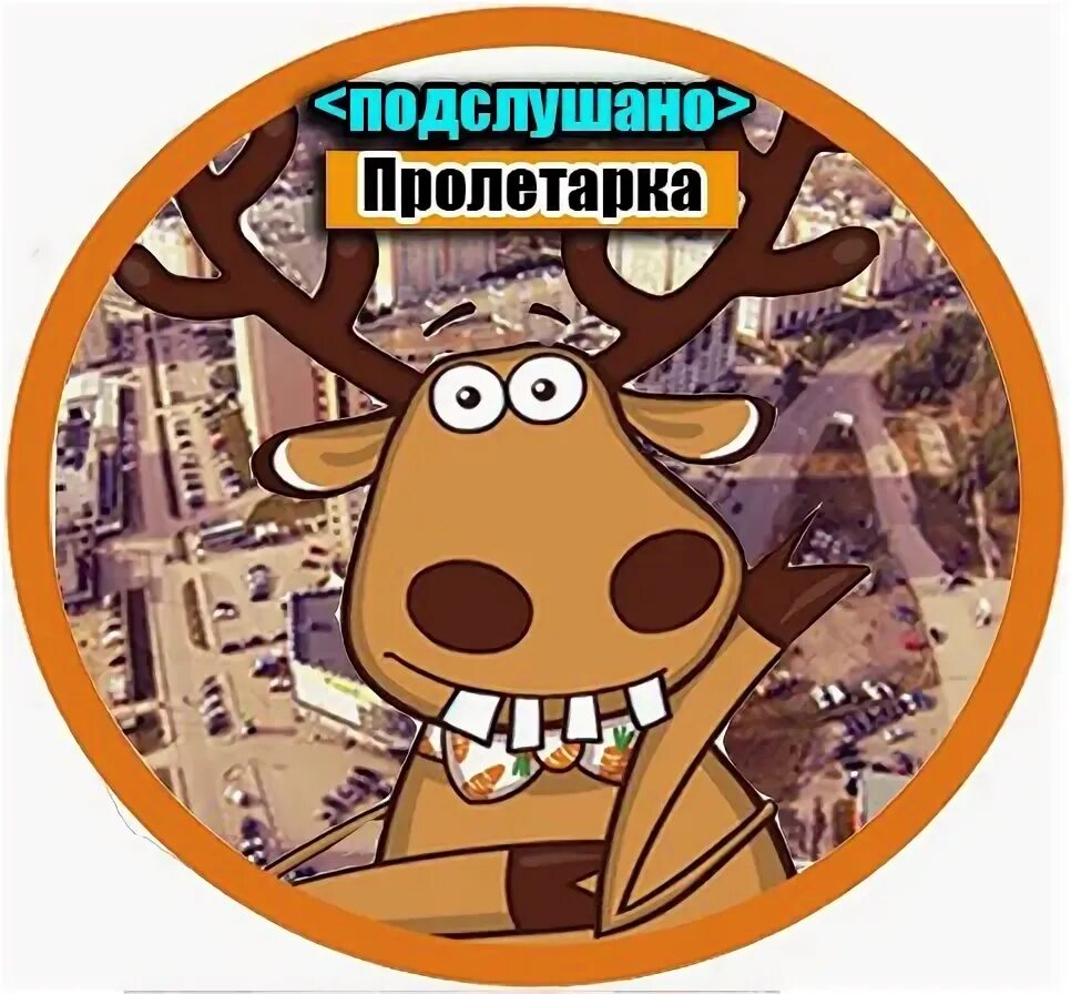 Подслушано в ппк. Подслушано в ппк
