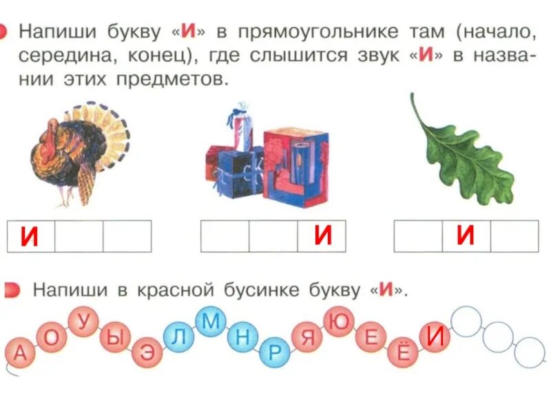 Буква к в начале в середине в конце. Буква в середи начале и конце. Буква у в конце слова. Звук и в начале и конце слова. Доносится звуки и буквы