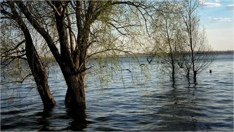 Река дон широко разлилась