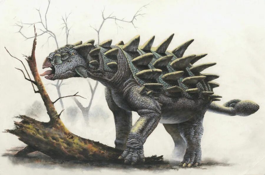 Анкилозавр динозавр. Анкилозавр ДНД. Анкилозавр окаменелость. Анкилозавр - травоядный динозавр. Травоядные динозавры с шипами