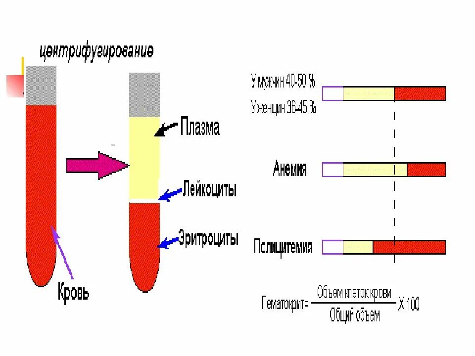 Центрифугирование крови. Центрифугирование крови для биохимического исследования. Центрифугирование венозной крови. Кровь после центрифугирования. Т4 сыворотка крови