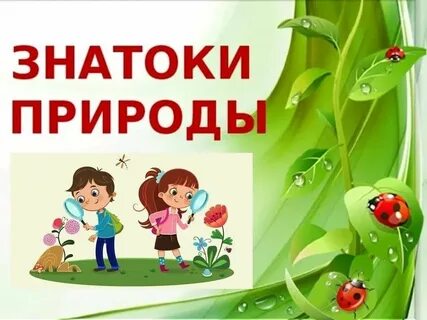 Название экологической викторины