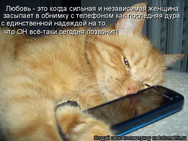 Когда звонишь всегда занято. Кот ждет звонка. Котик ждет звонка. Я жду звонка. Кот позвони мне.