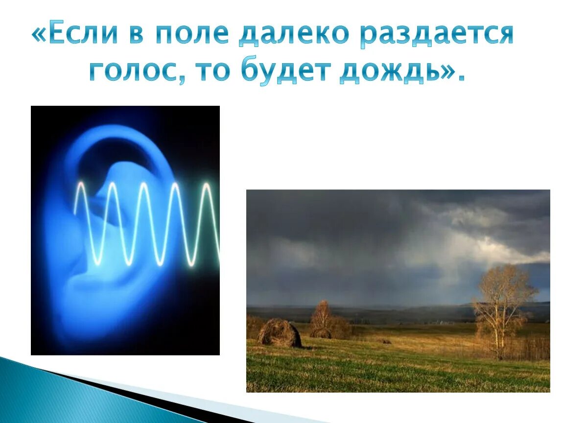 Если в поле далеко раздаётся голос. Сказка про звуковые волны. Картинка в поле раздается далеко голос. Вдалеке слышится. Послышался голос мамы