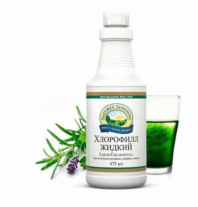 Liquid chlorophyll, 473 мл. Хлорофилл био 500 мл. Дезодорант для организма хлорофилл. 473мл. Нау фудс хлорофилл жидкий.