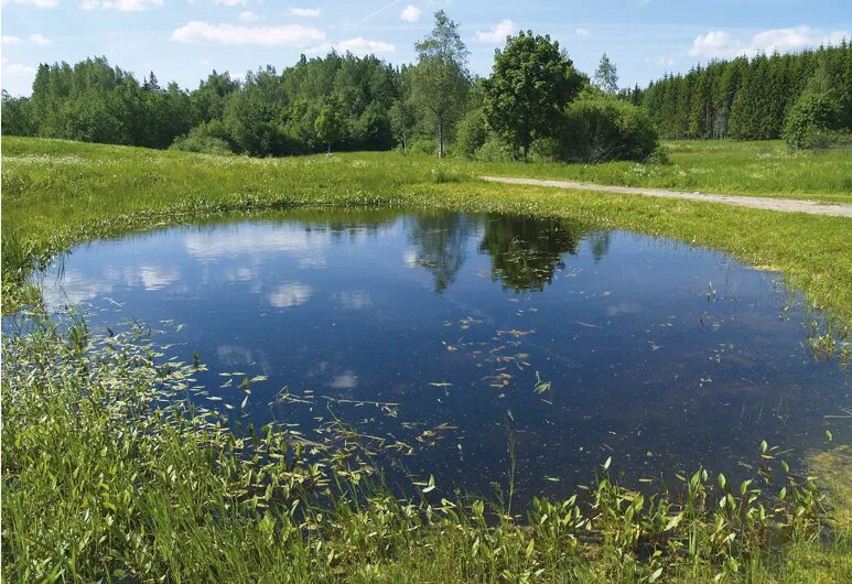 Поверхностные водные объекты. Водные объекты. водные объекты мира. водные объекты картинки. поверхностные воды.