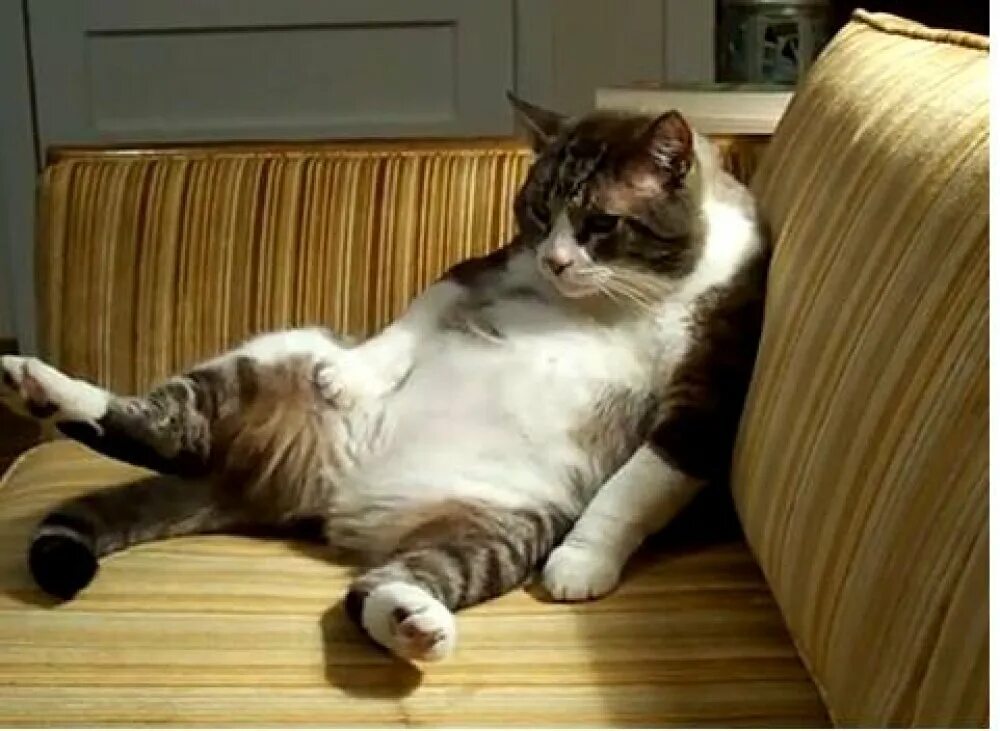 А я хочу как ветер петь и над землей. Красивая девушка танцует. Хочу пою хочу танцую. Мне так грустно что хочется петь и танцевать. Хочу пою хочу танцую.