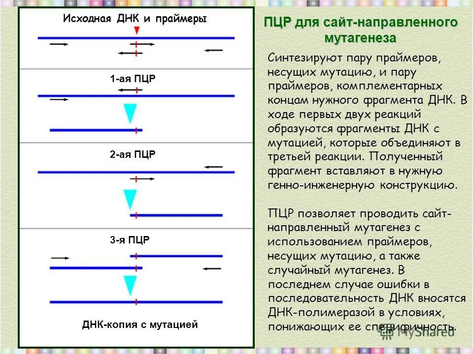 Способы образования слов. Способы образования в русском языке. Основные способы образования слов схема. Способы образования слов в русском. Схема основные способы образования слов в русском языке.