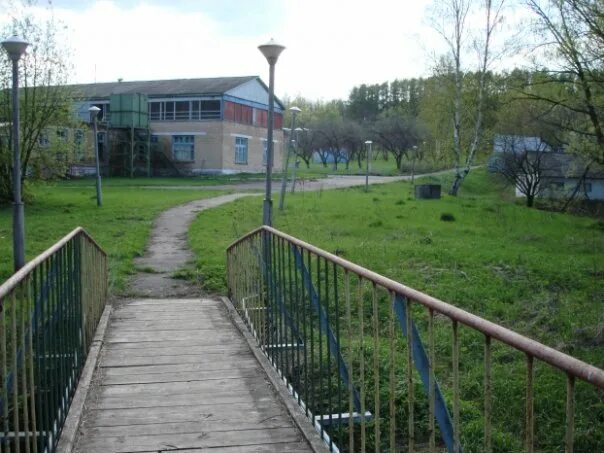 П л солнечный. Лагерь Солнечная Поляна Богородицк. Лагерь Солнечная Поляна Челябинск Каштак. П/Л Солнечная Поляна. Пионерский лагерь Солнечная Поляна Папоротка.